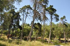 Gomes ferreira was also a political activist that participated in the resistance against the dictatorship of oliveira salazar. Trfihi Parks Parks Parque Jose Gomes Ferreira