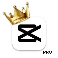 CAPCUT PRO - PRIVADO💎 (ACESSO LOGIN E SENHA)