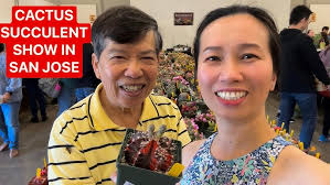 LELE's SUCCULENTS GARDEN