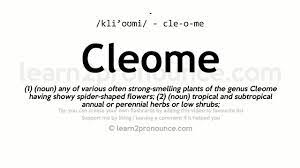 Pronunciation Of Cleome Definition Of Cleome Youtube