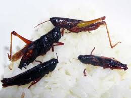 Check spelling or type a new query. 10 Most Disgusting Japanese Food Wordpress