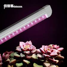 11 there are several different types of hid lights including mercury vapor, metal halide, high pressure sodium and conversion bulbs. Led Grow Lights For Indoor Plants Retrofit Led Bulbs To Replace T8 Fixture