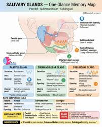 Image result for Submandibular Exam