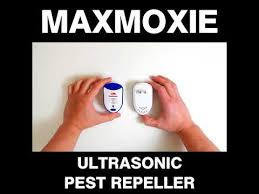 Check out the following list of our best ultrasonic pest repellers picks that you can buy today. Maxmoxie Ultrasonic Pest Repeller Youtube