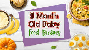 9 Month Old Baby Food Recipes