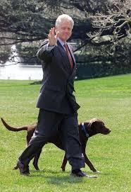 One of president biden's dogs, major, gave a minor injury to someone at the white house, white house press secretary jen psaki said on monday. Joe Biden S Dogs Shepherd In New Era Of Presidential Pets At The White House Mansion Global