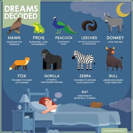 Jeevoka - Animals in Your Dreams?