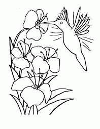 If your child loves interacting. Free Printable Hummingbird Coloring Pages For Kids Animal Coloring Pages Bird Coloring Pages Pikachu Coloring Page