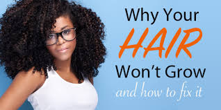 But shampoo also takes away the natural oils on our head which is essential to keep our hair soft. Here S Why Your Natural Hair Won T Grow