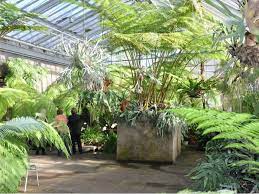 Botanischer garten (marburg) — der botanische garten marburg gehört zur philipps universität liste botanischer gärten — ein botanischer garten ist eine oft nach herkunft der pflanzen arten. Sehenswurdigkeiten
