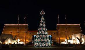 This Tennessee Zoo Has One Of The Most Spectacular Christmas Light Displays You Ve Ever Seen Zoo Lights Christmas Light Displays Memphis Zoo
