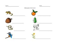 Preschoolers aren't made to sit still for hours on end. Because Of An Acorn Worksheets Teaching Resources Tpt