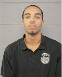 ᐅ Illinois Criminal Records 2009-2025