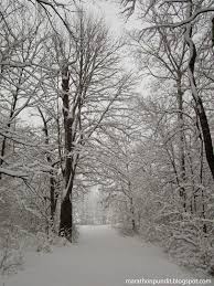 Photos Super Bowl Sunday Blizzard Of 2015 Forest Preserve Super Bowl Sunday Super Bowl
