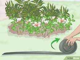 Allow no more than 20 minutes on grass. How To Install Plastic Lawn Edging 12 Steps With Pictures