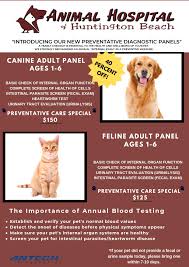 Vet hospital in huntington beach, ca. News And Offers The Animal Hospital Of Huntington Beach