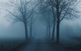 Wallpaper Road Trees Nature Landscapes Fog Branches Foggy Haze 4k Ultra Hd Background Dense Fog Images For Desktop Section Pejzazhi Download Game of thrones john snow wallpaper, jon snow, digital art, fantasy art.
