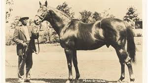 Man o' War: Legendary Thoroughbred Horse and His Legacy in Kentucky