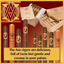 The Avo Cigar Is Made By Davidoff Since 1995 These Are Delicious Full Of Taste But And Gentle Creamy On Yo Cigars And Whiskey Premium Cigars Tobacco Products