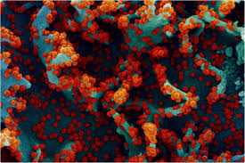 And the eta variant, first identified in nigeria. Moderna S Covid 19 Vaccine Effective Against Emerging Variants
