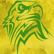 Só aqui no futemax você não vai perder nenhum lance da partida entre palmeiras e defensa y justicia grátis sem travamentos. Handball Defensa Y Justicia Home Facebook