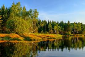 K přehradě černá nisa, jak se bedřichovské vodní nádrži také říká, se dostanete z bedřichova, konkrétně ze sedla maliník. Bedrichov