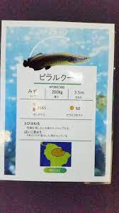 ポケモンgoのパロディまで 解説板が面白すぎる水族館に日本中が興味津々 ポケモンgo パロディ 水族館