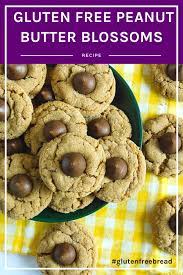 Gluten Free Peanut Butter Blossoms Only 8 Ingredients To Easy Delicious Gluten Free Peanut Butter Peanut Butter Blossoms Recipe Gluten Free Christmas Cookies