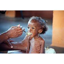 La moitié du pays meurt de faim et. Plus D Un Milliard De Personnes Meurent De Faim Agoravox Le Media Citoyen