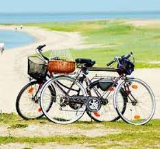 Genieße leckeres essen, schnell geliefert! Gultig Bis 30 April Gutscheinheft Exklusiv Fur Fordefewo Urlaubsgaste Pdf Kostenfreier Download
