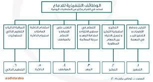 الإدراك والذاكرة عادة ما يتم تشخيص عيادة الأسرة الالكترونية Facebook