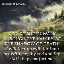 He leadeth me in the paths of righteousness for his name's sake. Psalm 23 4 Sichere Passagen Vorlage Postermywall
