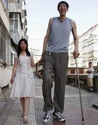 Orang tertinggi di dunia sepanjang sejarah adalah robert wadlow, ia tercatat dalam guinness world records dalam kategori manusia tertinggi hingga saat ini. Manusia Tertinggi Di Dunia Malayyuyu