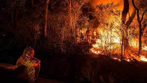 Two sons of chevalier vendrye, the french explorer, passed through the area known as the gates of the mountains as early as 1742. Backburns Backfired At Balmoral And The Blue Mountains Rfs Investigation Finds Abc News