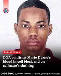 DNA results from tests conducted and analysed from blood samples taken from  Mario Deane have pointed to Deane as the source of the blood found in a  section of the cell block