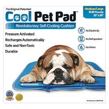 Vemee summer cooling mat for dogs cats self dog cooling mat breathable pet crate pad portable & washable pet cooling blanket for small medium and large pet outdoor or home use 3.7 out of 5 stars818 $15.99$15.99($31.98/gram) get it as soon as thu, mar 4 Cool Pet Pad By The Green Pet Shop Medium Pet Pad Petsmart