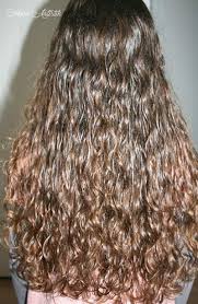 Graine De Lin Cheveux Secs Boucles Ou Frises Gel Diy A La Cannelle En 2020 Cheveux Secs Graine De Lin Cheveux Pousse Des Cheveux