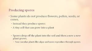 Reproduction in plantsthis video can. More Ways To Group Plants Subtitle Another Way