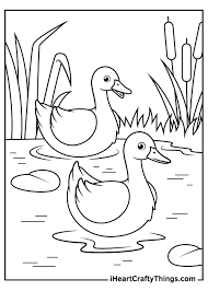 The free printable birds coloring pages for kids in this book are hummingbird, bat, swans, penguins, flamingos, chicken, owl. Duck Coloring Pages Updated 2021