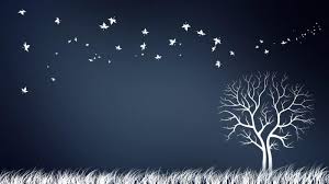 See more ideas about wallpaper, hd wallpapers 1080p, hd wallpaper. Ø§Ø¬Ù…Ù„ Ø®Ù„ÙÙŠØ§Øª Ù„Ø§Ø¨ ØªÙˆØ¨ 2018