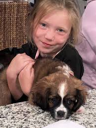Seasonal keeper Jacey playing some holiday tunes for Fiona!🎵🎶🎵