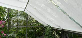 Grow plants in a greenhouse can anyone, even an amateur gardener. How To Keep Your Greenhouse Cool In Summer