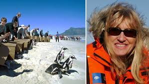 The new england aquarium has sea creatures of all sizes, shapes and colors. The Great Penguin Rescue An Interview With The Penguin Lady Who Helped To Save 40 000 Birds Guinness World Records