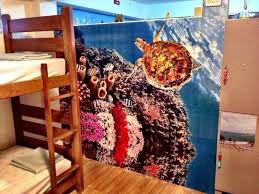 Los hostels o albergues son un tipo de alojamiento que se ajusta a cualquier presupuesto. Kite Soul Brasil Hostel Reviews Fortaleza Brazil Tripadvisor