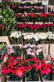 Columbia Road Flower Market The Style Scribe Columbia Road Flower Market Flower Market Flowers