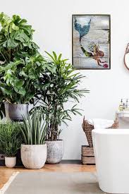 Mermaid Coastal Chic Colorful Wall Art Echo And Ben Artisan Decor Bathroomplants Nature Decor Plant Decor Plant Decor Indoor