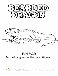 Read more information about the bearded dragon ». Bearded Dragon Worksheet Education Com Bearded Dragon Bearded Dragon Cute Bearded Dragon Colors