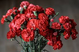 When done right, flowers are the perfect gift. The Best Flowers For Valentine S Day Flower Delivery Bloom Magic