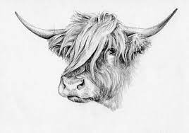 Pin On Cattle Art