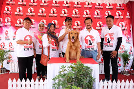 Dinas dipimpin oleh seorang kepala dinas yang berada di bawah dan bertanggungjawab kepada bupati melalui sekretaris daerah rincian tugas dan fungsi jabatan di lingkungan dinas pertanian dan ketahanan pangan. Dinas Pertanian Ketahanan Pangan Dan Perikanan Adakan Solo Pet Expo 2018 Pemerintah Kota Surakarta